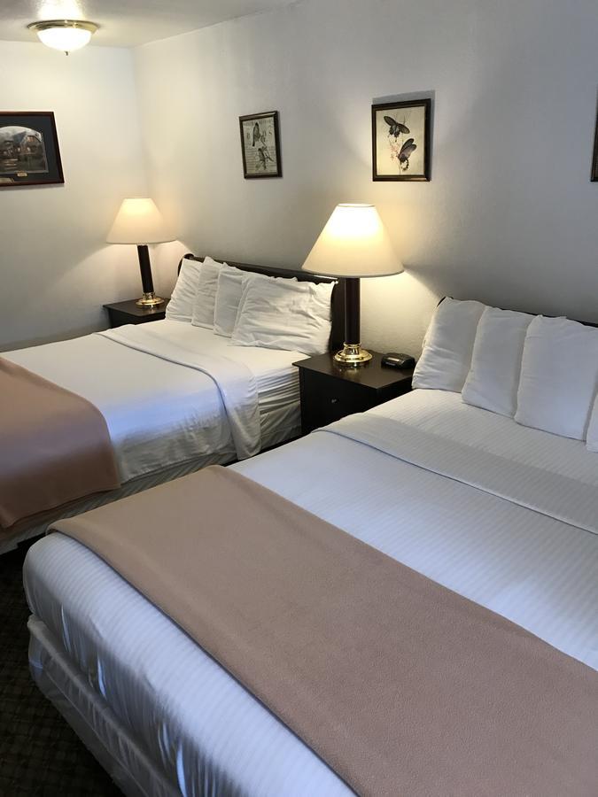 Gold Pan Lodge Quincy Екстер'єр фото
